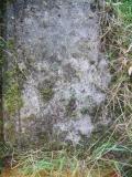 image of grave number 262039